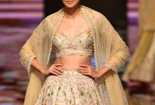 anushree reddy || lakme fashion week 2019