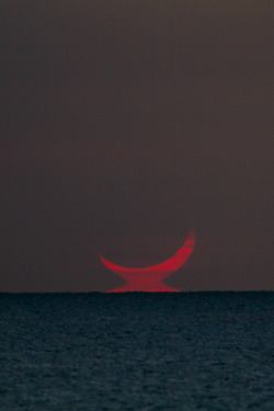 disminucion:  Solar Eclipse - 14 November