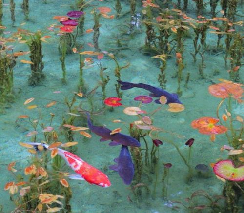 sinyasiki:((1) 名前のない池がまるで絵画のような美しさ！その不思議な魅力まとめから)