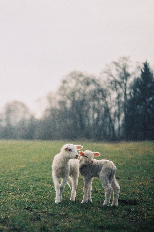 ivvvoo:Untitled by skinny.seba