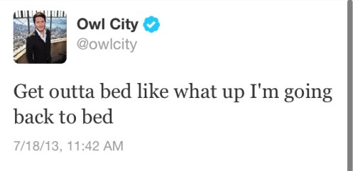 wowthatshipster: lookaliveesunshineee: I don’t care if you don’t like Owl City can we al