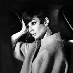 rareaudreyhepburn:  Audrey Hepburn during