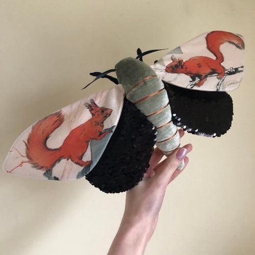 mother-entropy: cargopantsman: goopygoose: sosuperawesome: Moths and Bats Molly Burgess on Etsy @mot