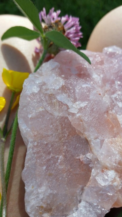 chthonicdreams: Big chunk of rose quartz. Added to my collection.  I&rsquo;m on my own dash! Fan