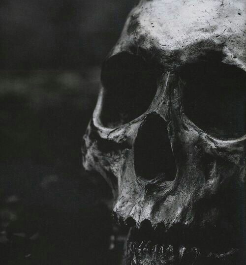 dark-recesses-of-the-soul:  ☽ dark, horror, eerie, macabre ☾