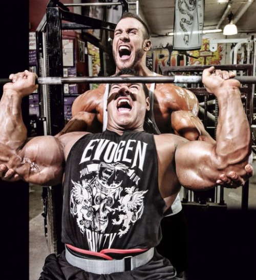 drwannabe:  Antoine Valliant and Steve Kuclo training shoulders  submitted by ironaddictforlife