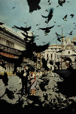 cratered:  Wings crackling like a flutter of applause, pigeons alight before St. Marks, National Geographic, April 1961 (left) 