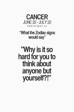 zodiacspot:  Find out what your Zodiac sign would say here