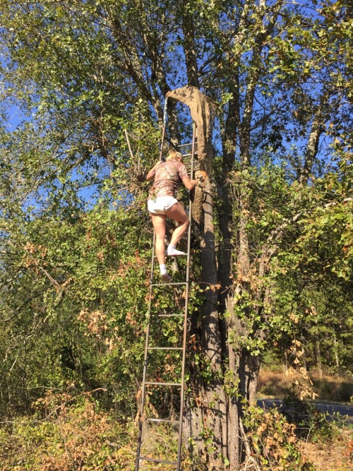 thebambinogirl:  I forgot my seat cushion in my stand this morning so after Daddy changed my diaper on the tailgate of the truck, he made me walk to my stand and climb up in it and get my seat cushion in just my shirt and diaper! No pants were allowed.