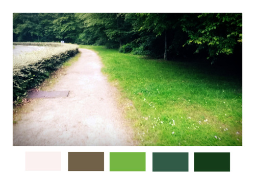 junidyle-deactivated20140718:Colours of the woods, 25 km away from Paris