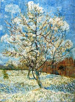 vincentvangogh-art:  Peach Trees in Blossom, 1888 Vincent van Gogh 