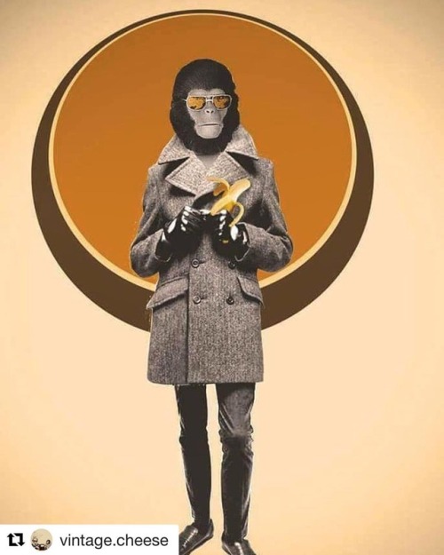 #dailybanana  #Repost @vintage.cheese ・・・ #coolcat #umm #ape #roddymcdowall #planetoftheapes #1968 #