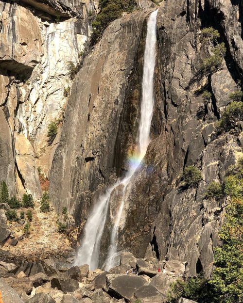 Lower Yosemite Fall with a mistbow#yosemitefalls #waterfalls #waterfallsofinstagram #nature #natur