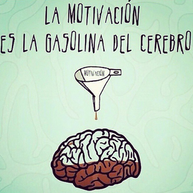 tamiibl:  Estudiando motivación un rato con mi resfriado. Que divertido!!!📑📚📚