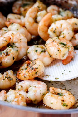 do-not-touch-my-food:  Lemon Paprika Garlic Prawns