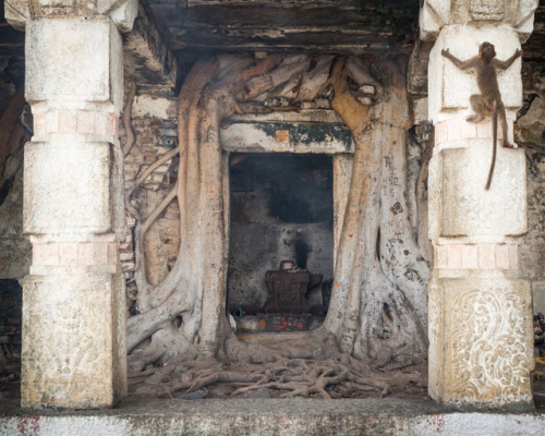 Shiva temple at Srirangapatna, Karnataka, photos by Kevin Standage, more at https://kevinstandagepho