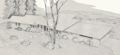 vintagehomeplans:United States, 1951: Rancho-AcresAn interesting three-bedroom ranch with angled sle