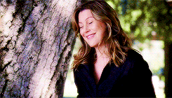  Grey’s Anatomy in a nutshell 