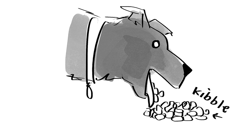 otahkoapisiakii:  starfleetrambo:  starfleetrambo: My dog has a habit where, right