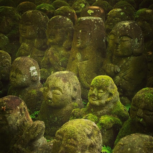 art-kyoto-jp:No.656 at Otakinenbutsuji Temple, Kyoto, Japan