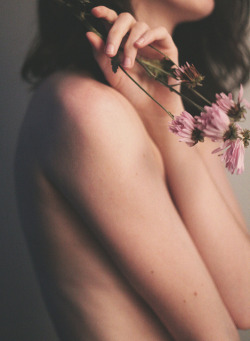 zimniej:  Flowers (1) by Aja Palmer Photography