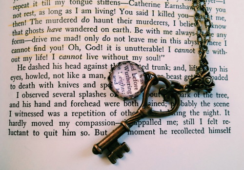 aliteraryprincess:February Just One Word Book Photo ChallengeDay 25: JewelryWuthering Heights neckla