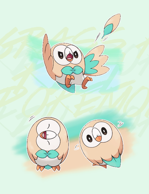 nimbasas:ROWLET モクロー [Mocrow]  //  GRASS/FLYING