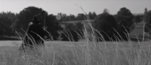 cinema-blography:  “I think I have worked out what God is punishing us for…everything.&