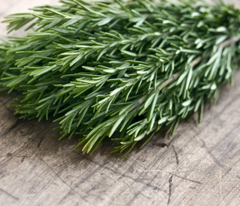 The Magick of Rosemary
