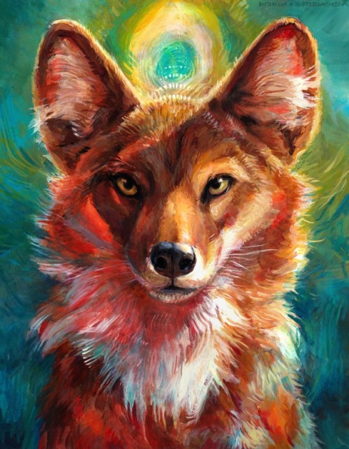 dhole art