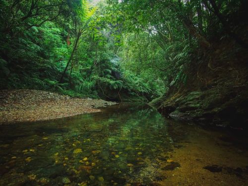 utwo:  Treeful Treehouse Sustainable Resort Nago Okinawa Japan© treeful treehouse