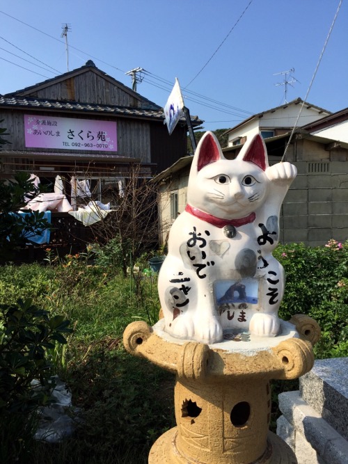 Aoshima [½] by kobalt One of the many cat islands in japan. This one is just off the coast of