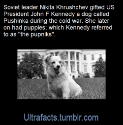 ultrafacts:  Source: [x]Click HERE for more facts!