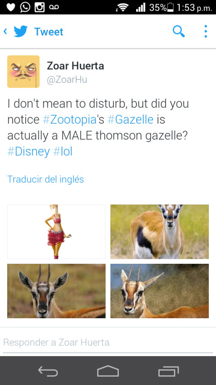 Nothing really, just trolling Zootopia fandom via twitter.