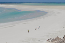 foreign-lands:  Qalansiya, on the eastern coast of Socotra island, Yemen Photo by: Jonathon Collins 