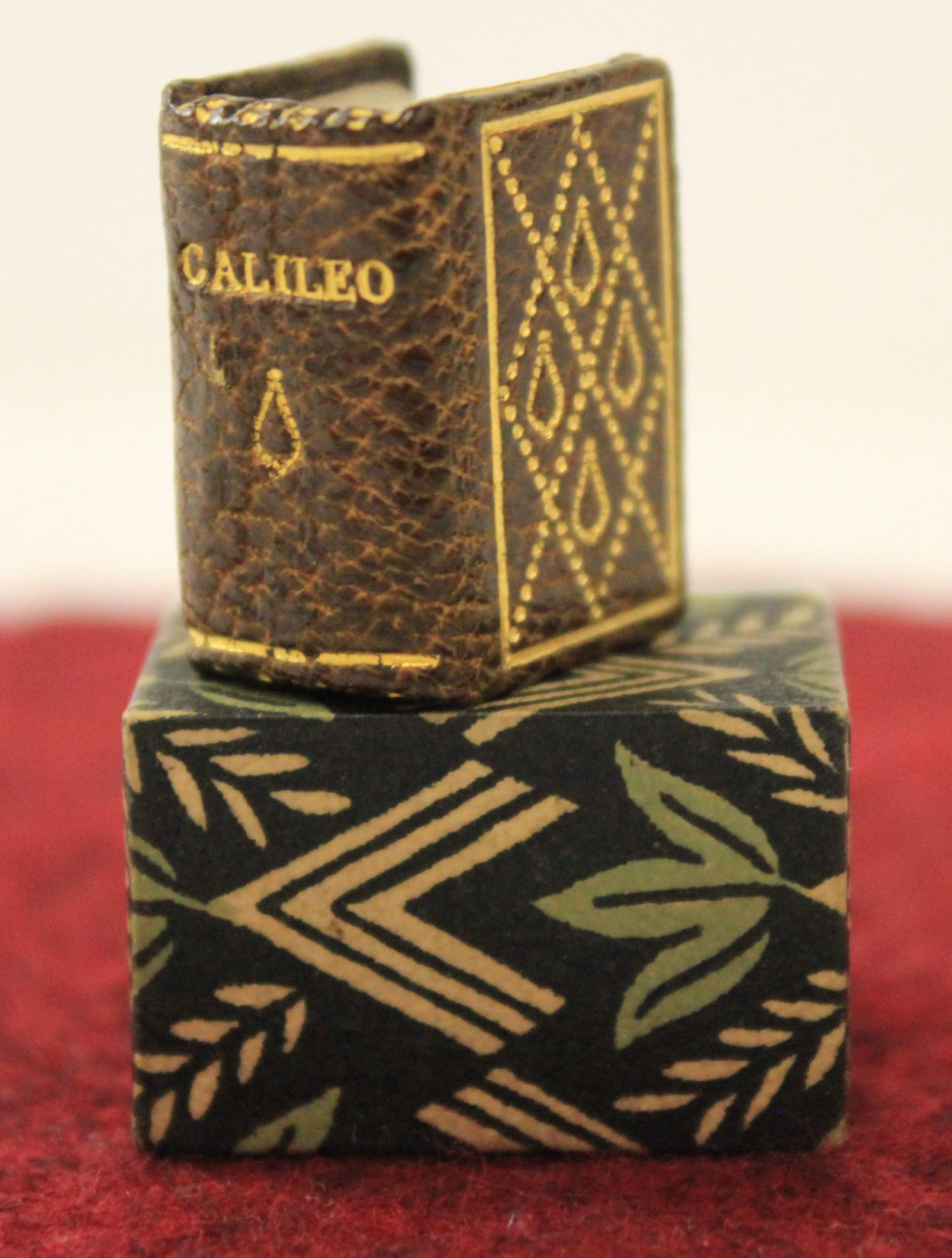 uispeccoll:  Happy Miniature Monday! Here is a copy of Galileo a Madama Cristina