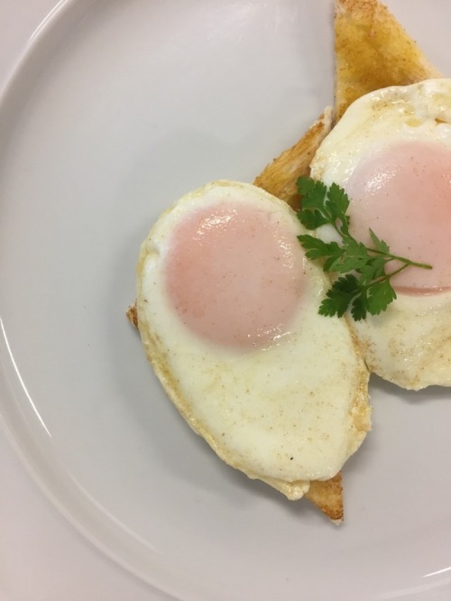 culinary fundamentals // fried eggs on toast