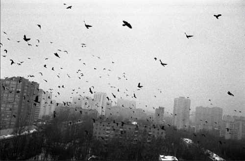 the-night-picture-collector:Igor Moukhin, Moscow, 2010