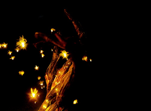 scm-wilson:Guardians of The Galaxy (2014) dir. James Gunn