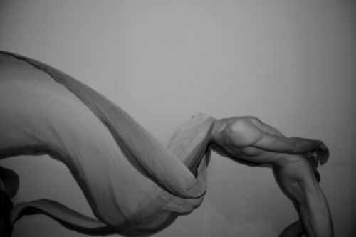  nikos stamatopoulos 
