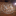 slatex76: