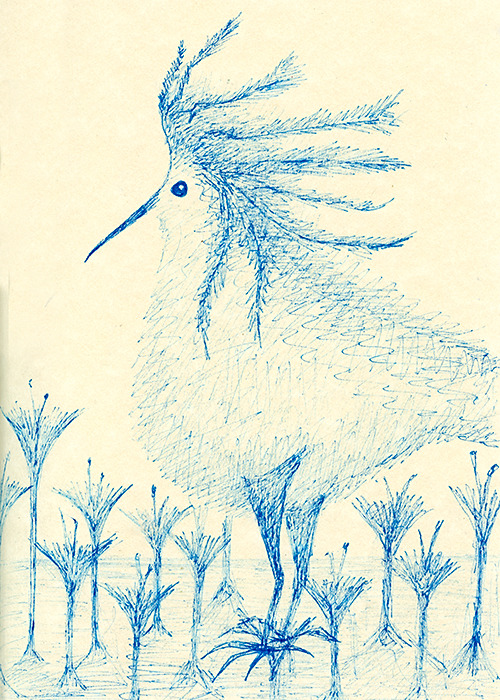 kerfluffle:  What you see and what you hear depends a great deal on where you are