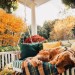 rainy-autumn-day: