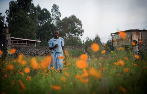 Colin Delfosse: North Kivu : the Chaos CycleOn the 20th of November 2012, the armed group called M23