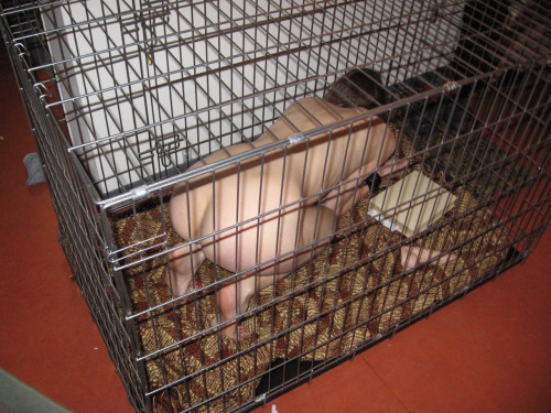 mollypops23:  devotionaltraining: mister-polite:  A cage seems to me to be a powerful