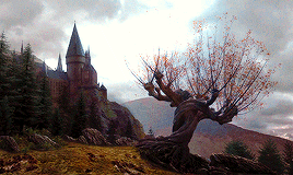 nicole-kidman:I solemnly swear that I am up to no good.
