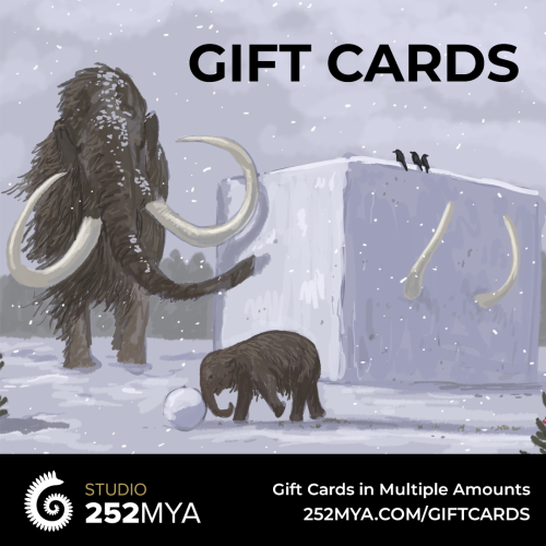 Our products won&rsquo;t arrive in time for Christmas, but you can still get gift cards for those ne