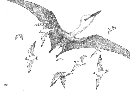extinction-illustrated:  Inktober #4 Flight A flock of the enantiornithine bird Avisaurus is dwarfed
