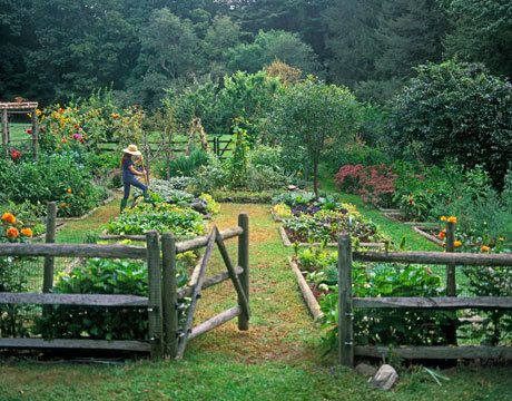 bugbite7:The glory of gardening: hands in the dirt, head in the sun, heart with nature. To nurture a