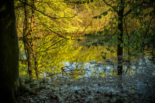 Jasmund National Park